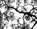 Produktbild JP London cnv1 X 638660 Sarah Wright Cornus Xray Poppy Ast schwarz 5,1 cm Dick Schwere Galerie Wrap auf Leinwand, 2 'x 1,5'