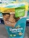 Pampers Baby Dry Size 4 (Maxi Plus) Giga Pack 112 Nappies