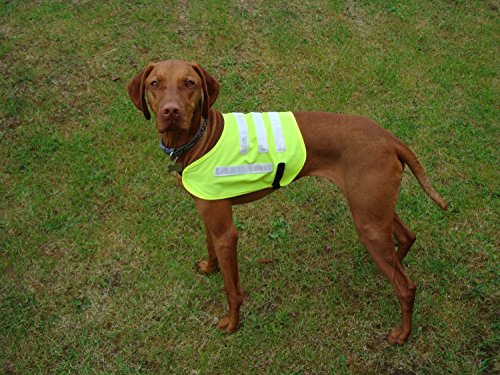 Hi-Viz-Vest-for-your-Dog-Reflective-Dog-Vest