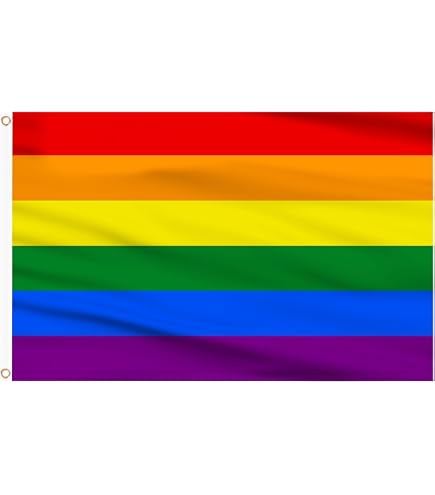 Demisexuell Flagge 90x150 Cm – Polyester, 2 Metallösen, Inkl. Aufkleber