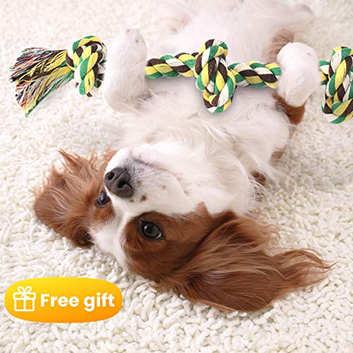 Focuspet-Housse-de-Protection-de-Coffre-Tapis-de-Coffre-Housse-Coffre-Protection-Chien-Voiture-Couverture-de-Protection-pour-Coffre-Noir-avec-Un-Jouet-Corde-et-Un-Sac--Dos