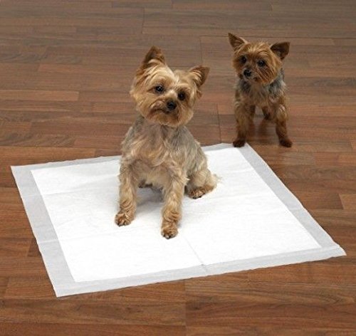 DOG-PUPPY-LARGE-TRAINING-TRAINER-PADS-TOILET-WEE-60-X-40CM-OUTDOOR-TRAIN-DOG