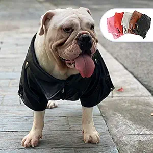 Lovelonglong Cool Dog Leather Jacket, Warm Coats Dogs Windproof Cold Weather Coats for Pugs Bulldog Pitbull Black B-M