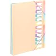 Viquel Trieur Document A4 Rainbow Pastel 8 Compartiments - Organiseur Portable Pour Bureau Et École