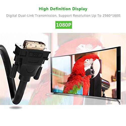 DVI Kabel Ugreen 1m DVI auf DVI 24+1 Kabel Dual Link HDTV 2560×1600 Auslösung mit 2 Ferritkern, verzinnte OFC Kupferleiter und Vergoldete Konverter für PC und Projektoren - 3