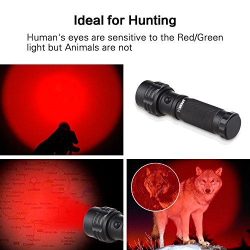 Paragala Außen Handhled Tactical Taschenlampen IPX7 Wasserdicht Rot / Grün / Weißlicht LED Taschenlampen Fackel für die Jagd Fischen Wandern Lesen Detector - 3