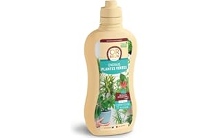 OR BRUN Engrais Plantes Vertes - 1L - Favorise La Croissance & Fortifie Les Plantes - Fabriqué En France - Utilisable En Agriculture Biologique OBRECLPLINTER1