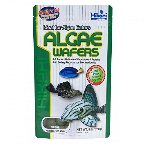 HIKARI ALGAE WAFERS 20g 40g 82g 250g 500g 1kg CATFISH PLECO WAFER (250g algae wafers)