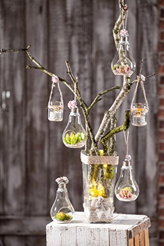 VBS Glasvase „Vitrea“ - 7