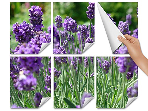 Fliesenaufkleber Fliesenbild Lavendel auf einer Wiese für Bad Küche Fliesen (Fliesenmaß:15x15cm(BxH)//Bildformat:90x60cm(BxH)) - 2