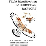 Flight Identification of European Raptors