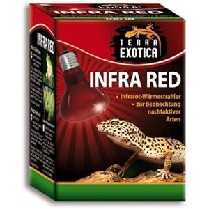 Infra Red 40 Watt - Infrarot Reflektorstrahler für nachtaktive Tiere