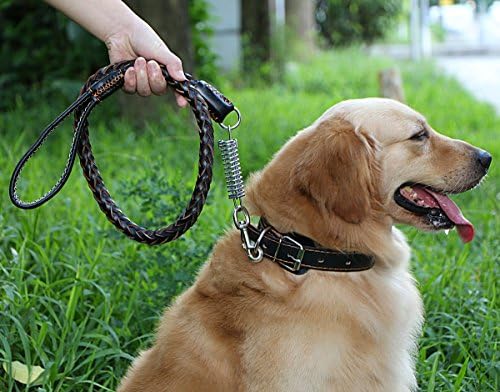Lalawow Dog Leash for Large Dogs Leather Leads Handmade with Vintage Collar and Buffer Spring