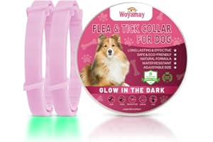 Woyamay Collier Anti Puces pour Chien, Lumineux Collier Anti Tique Chien Réglable Résistant à l'eau, 8 Mois de Protection Collier Chien Anti Puces et Tiques pour Chien Tous âges, Rose (2 Pièce)
