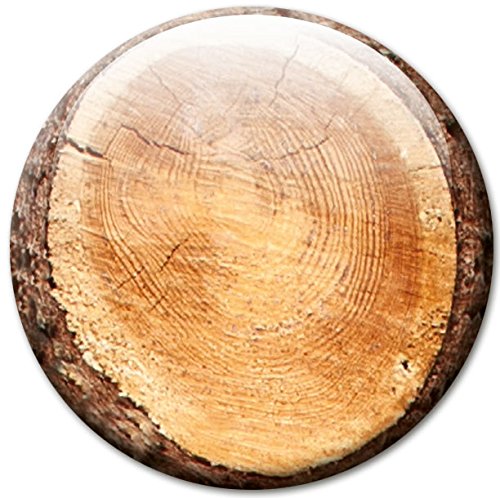 Baumstämme – Stämmige Design Metall Magnettafel 40×30 cm – Pinnwand Memoboard mit Motiv: Baumstämme – inkl. 4 Magnete mit Motiven in Baumstammscheibenoptik für Magnetwand – Original Magnetpinnwand GUMA Magneticum - 6