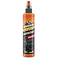 Armor All, Gloss Finish Protectant 300 ml, Cleans and Polishes Dahsboard and Trims, Protects and Restores Surfaces, Suitable for Plastic, Rubber and Vinyl, Ideal for Car Detailing, Made in the UK