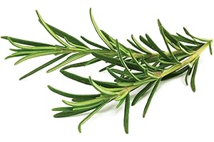 Click and Grow Smart Garden Rosmarin-Pflanzgefäße, 9 Stück