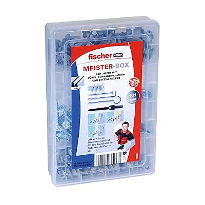 Fischer Meister Box avec GK de chevilles + vis + crochet, contenu : 50, 1 à cheville, 38, 4,2 x 35, 6 crochets angle droit 4,2 x 40, 6 crochets rond 4 x 46, 513892