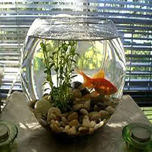 nogaiya Fish Bowl Glass Product Round Shape Transparent crystel Glass (Pack of 1)