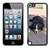 Produktbild GoGoMobile Bild Hart Handy Schwarz Schutz Case Cover Schale Etui // M00118016 Berner Sennenhund Pedigree Haustier // Apple ipod Touch 5 5G 5th