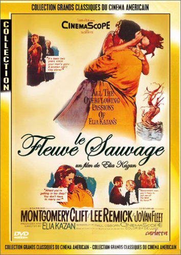 couverture de : Le fleuve sauvage