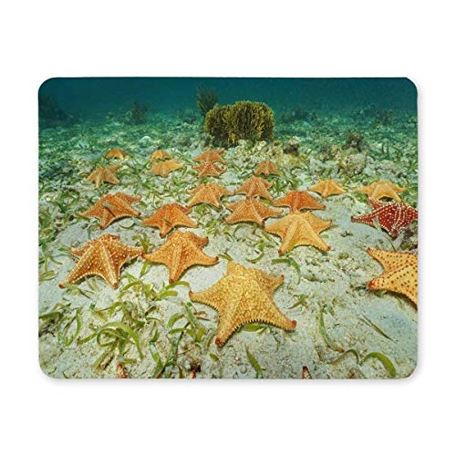 Gaming Mouse pad,Mouse pad Cluster of Starfish Underwater on The Ocean Floor Mouse pads with Designs