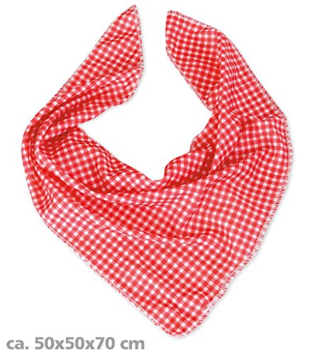 Preisvergleich Produktbild Dreiecktuch "Cowboy" - rot / weiß kariertes Halstuch