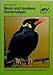 Produktbild Beos und andere Starenvögel (7099 207). Haltung, Pflege und Zähmung der Sprechkünstler.