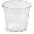 Floralo Vaso per orchidee, diametro 21 cm, trasparente, 21 x 21 x 18,8 cm, 4,4 l, 728