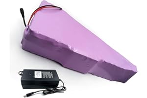 SEILYLANKA with 5A Charger 21Ah 20S6P 72V Battery ebike Electric Bicycle Li-ion Motorcycle Tricycle Customizable 280x245x95x260x45x70mm