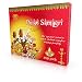 Produktbild Traditionelles Puja Set zur täglichen Verehrung im Hinduismus. Luxflair Pooja Set for daily worshipping. Including gangajal, kumkum, haldi, ghee diya, sambrani powder, sree gandh power, camphor, vibudi, betalnuts, akshata, camphor and more.