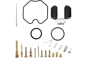 TBEST kit de carburador daelim daystar,joint de carburateur,Kit de Pièces de Réparation de Reconstruction de Carburateur, Kit de Reconstruction de Carburateur de Type Straddle Kits de Réparation de Carburat