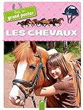 Les chevaux : Avec un grand poster