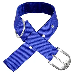 Pet Fab Blue Dog Nylon Strong and Durable Dog Collar Dog Belt for Small,Medium and Large Breed Dogs(Size-1.25 Inches)