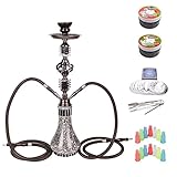 DXP Wasserpfeife Shisha Set 2 Schläuchen mit 100 Blättern Alu Folie, 100 Stücke Mundstücke, 100gr. Shiazo Dampfsteine Wassermelone und 100gr. Dampfsteine Doppelapfel, Kohlezange, Zubehör