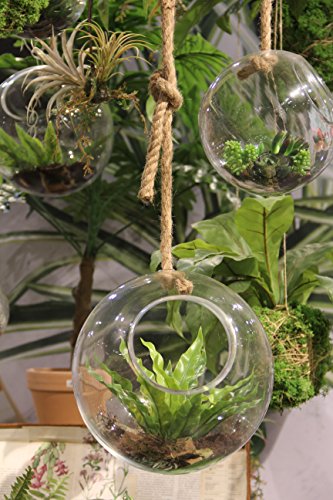 Mica decorations 224718 sil Hängeampel Glas, Transparant, 22.5 x 22.5 x 22.5 cm - 2
