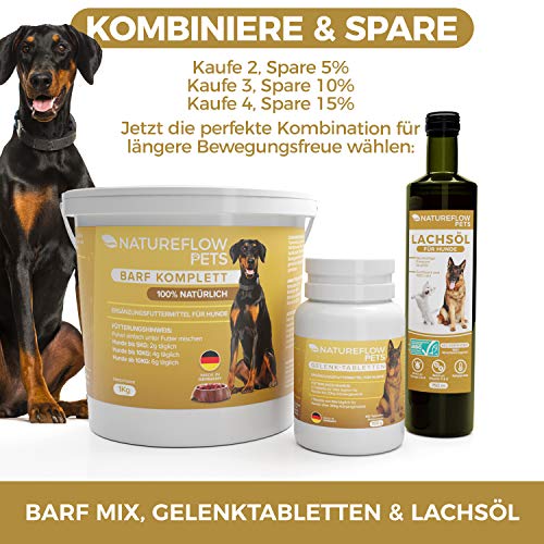 Gelenktabletten für Hunde mit Grünlippmuschel, MSM und Teufelskralle