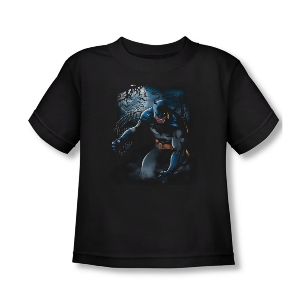 Batman-Light-Of-The-Moon-Kleinkind-T-Shirt-in-Schwarz-2T-Black