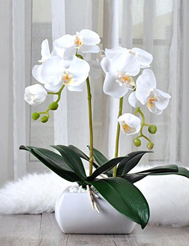 Fake flowers Decoration Fake Flowers Simulation Flower Phalaenopsis Living Room Dining Table Decoration Plastic Flower Flower Arrangement Bouquet Mother's Day gift (Color : #3)