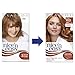 Clairol Nice 'n Easy Permanent Hair Colour - 108 Natural Golden Auburn Blonde