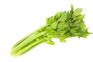 HUA XIAN ZI sedano 250 semi gigante piatto micrοgreen non OGM