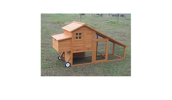 Poulailler King Transportable Amazonfr Animalerie