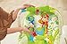 Fisher-Price Rainforest Infant to Toddler Rocker