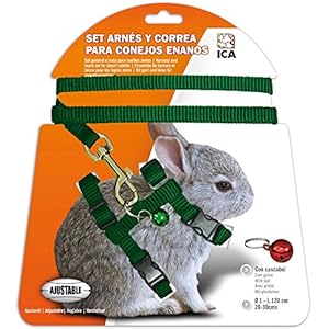ICA DA1021 Set de Arnés y Correa para Conejos Enanos, Verde
