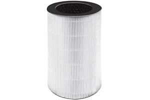 HoMedics Filtro HEPA di Ricambio per Purificatore AP-20, Perfetto per chi Soffre di Allergie