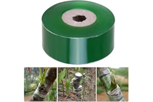 FICTORY Ruban de pépinière, Ruban de Greffe D'arbres de Jardin, 100 m de longueur Ruban de greffage auto-adhésif pour semis d'arbres fruitiers outils de jardinage pour plantes de pépinière
