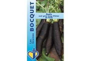 Sachet de graines de Radis noir d'hiver de Paris - 10 g - légume racine - LES GRAINES BOCQUET