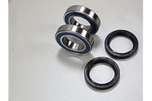 MOTORSPORTGOETZ Kit de roulement d'essieu arrière de rechange pour Herkules Adly 300 320 Sport Interceptor Thunderbike Hurricane