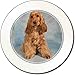Produktbild Rot / Gold Cocker Spaniel Dog AutovignetteGenehmigungsinhaber Geschenk