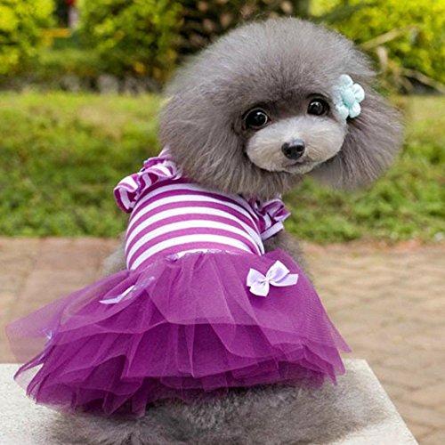 Bodhi2000-Pet-Puppy-Small-Dog-Princess-Tutu-Dress-Cat-Bow-Stripes-Skirt-Clothes